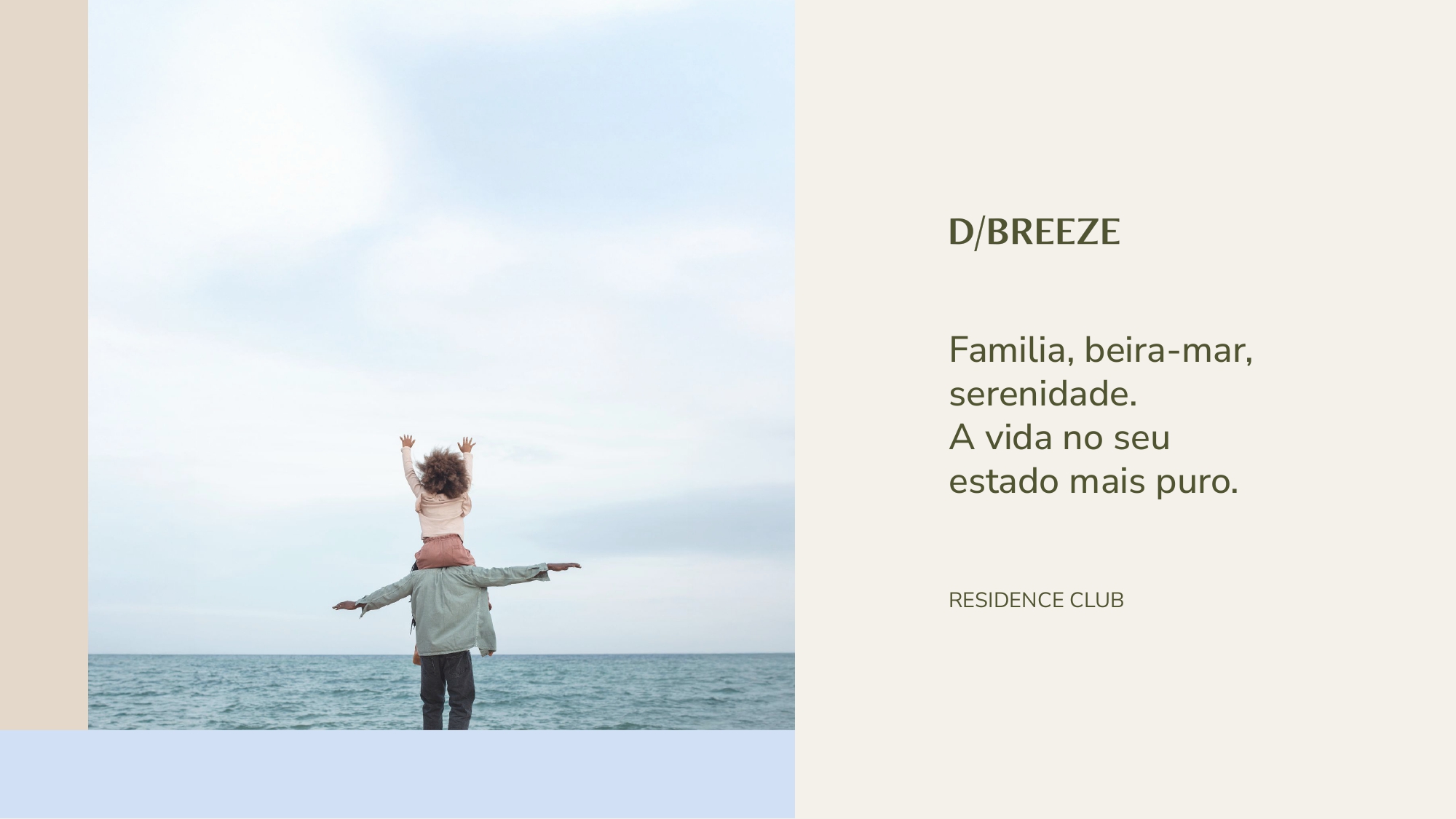 D.Breeze 1