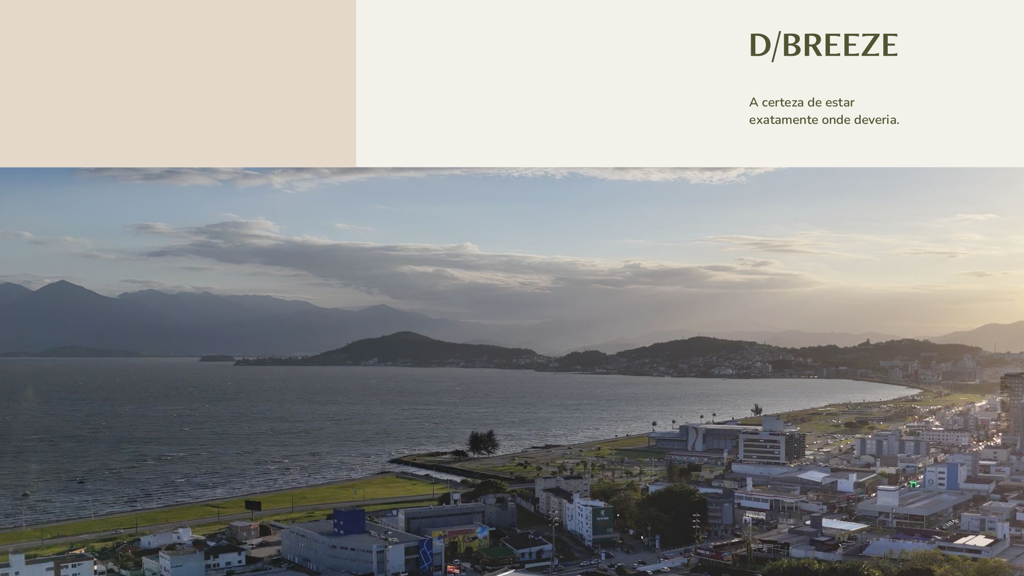 D.Breeze 23